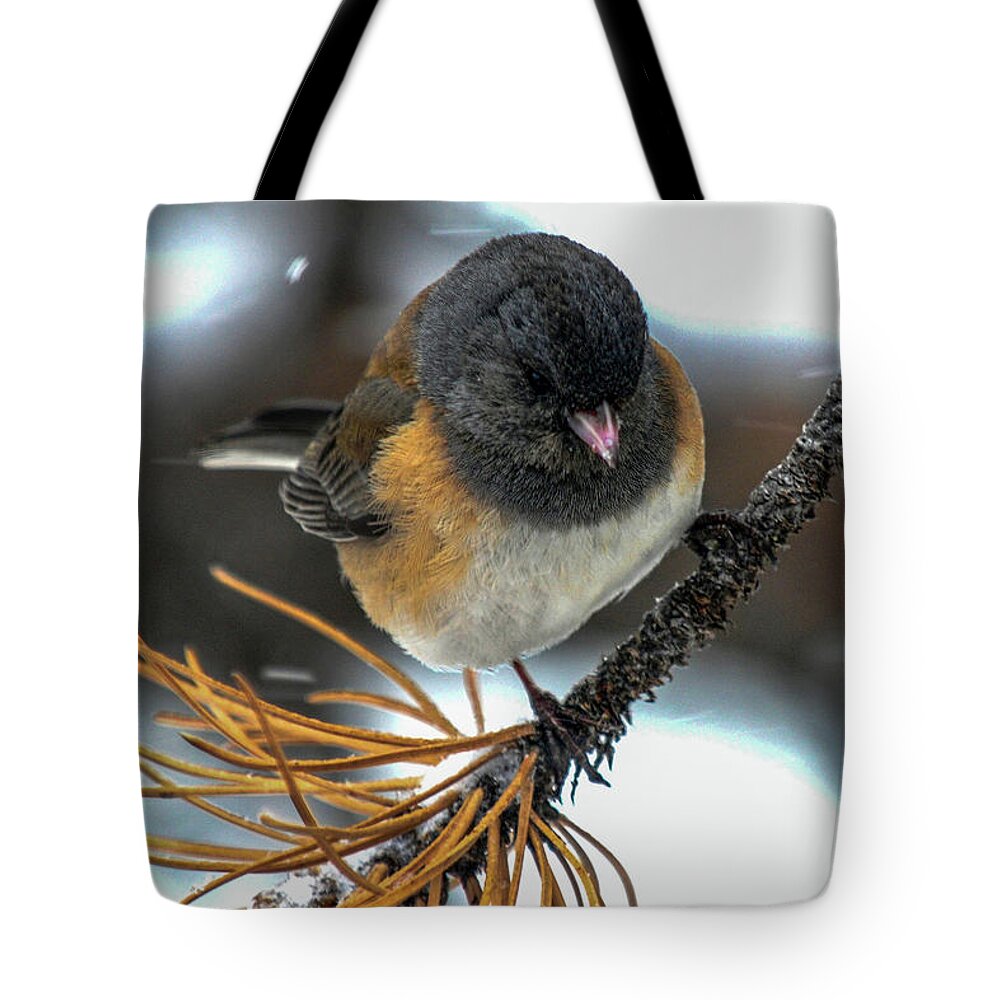 Colorado Tote Bag featuring the photograph Dark-eyed Junco by Marilyn Burton