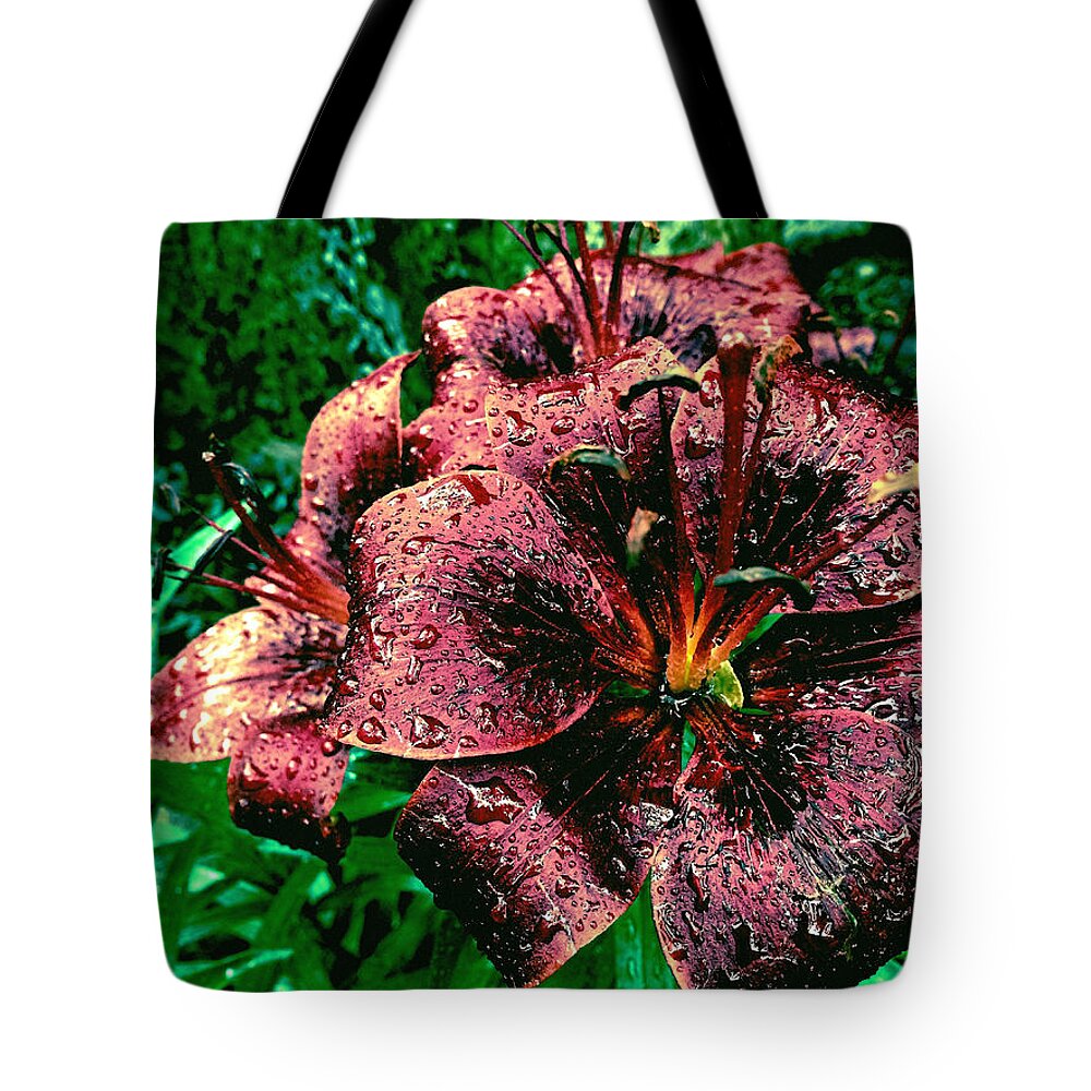 Maroon Tote Bag featuring the photograph Dark Lily by Onedayoneimage Photography