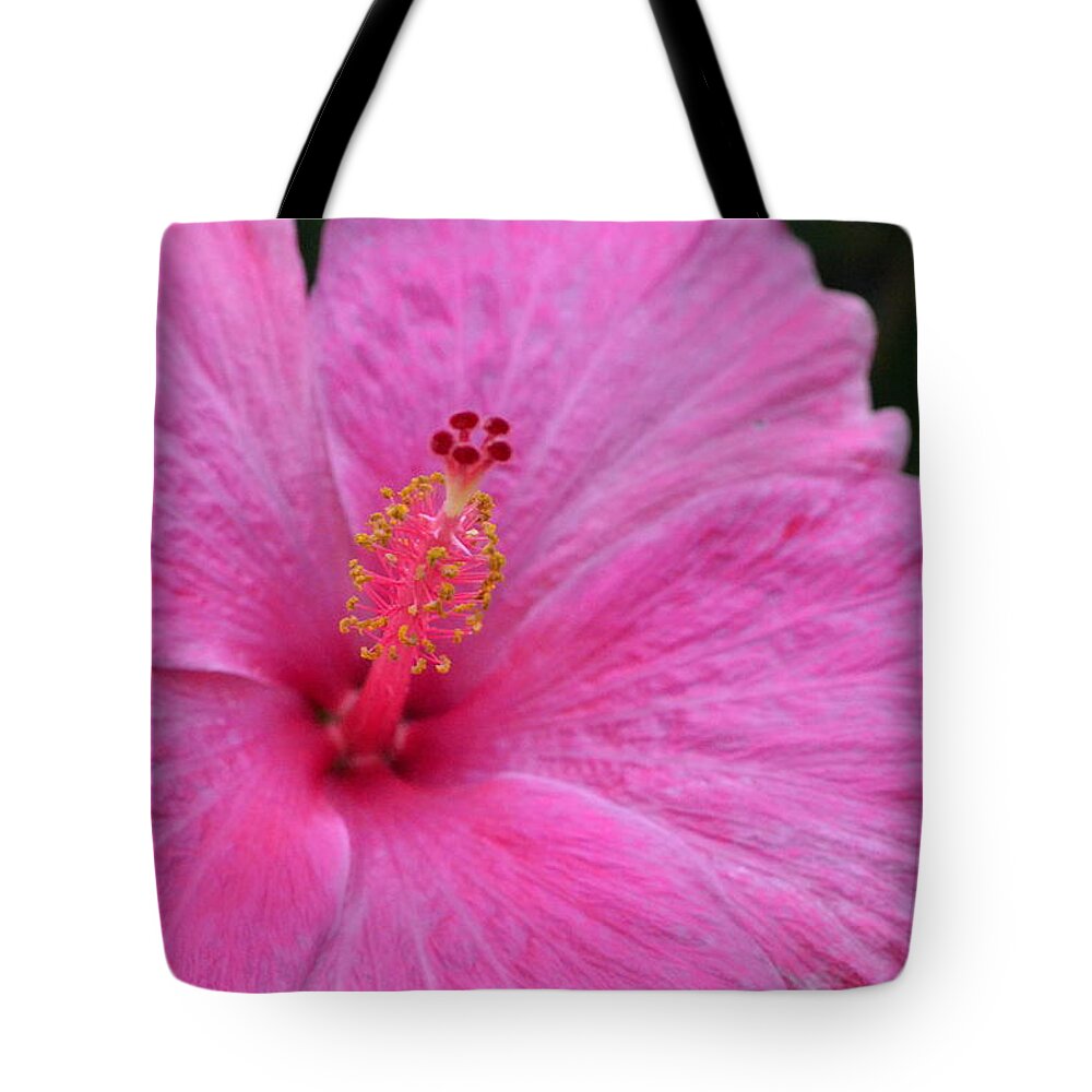 Flower Tote Bag featuring the photograph Dark Pink Hibiscus 1 by Amy Fose