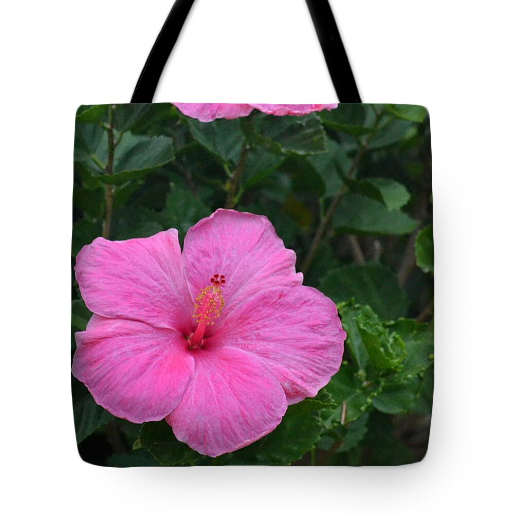 Flower Tote Bag featuring the photograph Dark Pink Hibiscus Duo by Amy Fose
