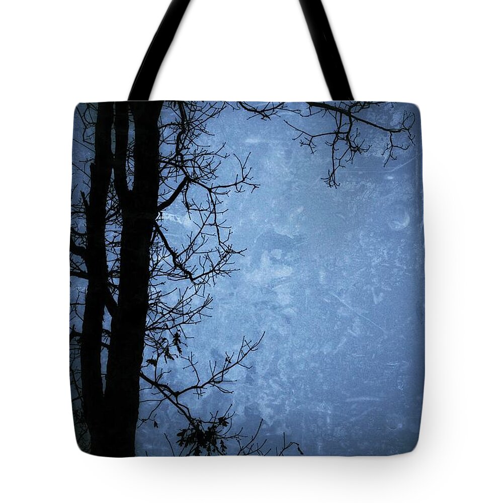 Tree Tote Bag featuring the photograph Dark Tree Silhouette by Jason Nicholas