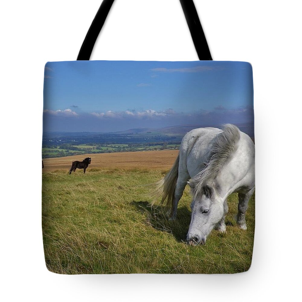 Dartmoor Tote Bag featuring the photograph Dartmoor Ponies On Gibbet Hill Dartmoor Devon by Richard Brookes