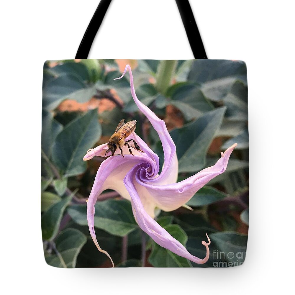 Datura Tote Bag featuring the painting Datura Buzz by Rebecca Weeks