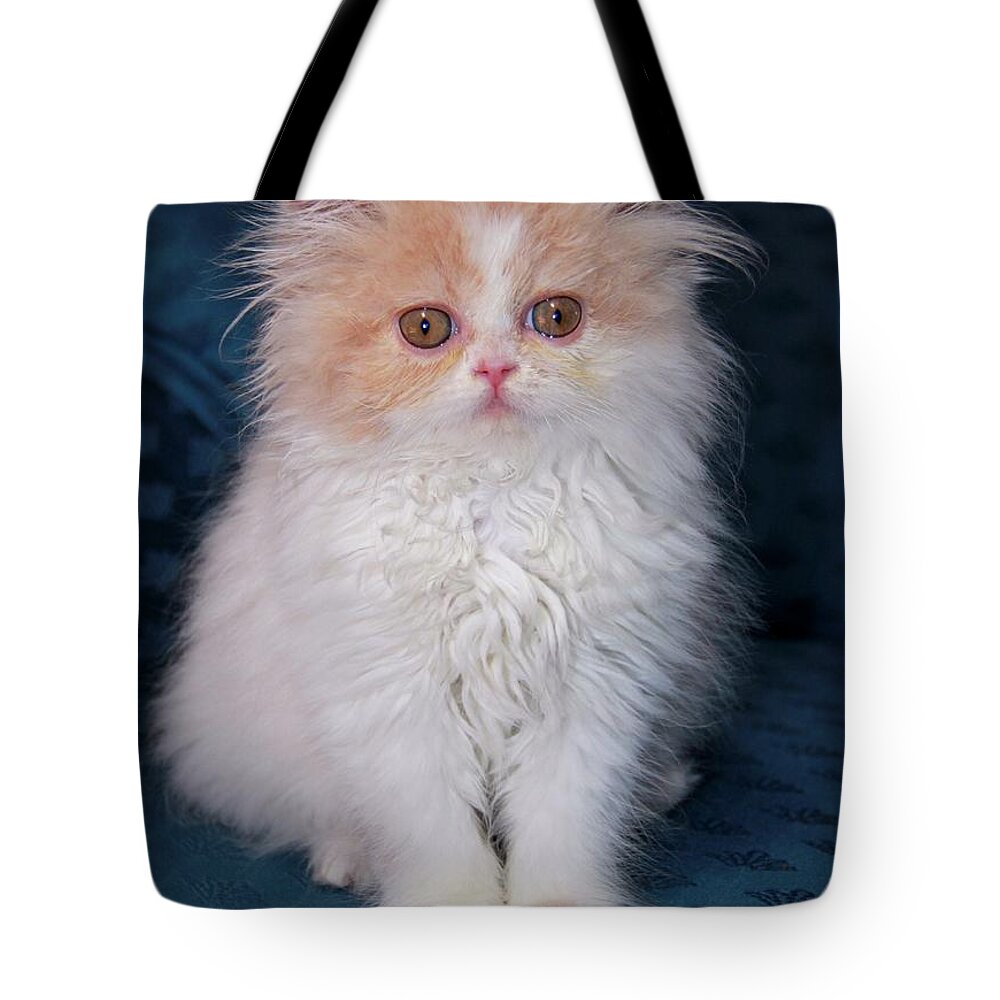 Kitten Tote Bag featuring the painting Dauphin 3 by Robert SORENSEN