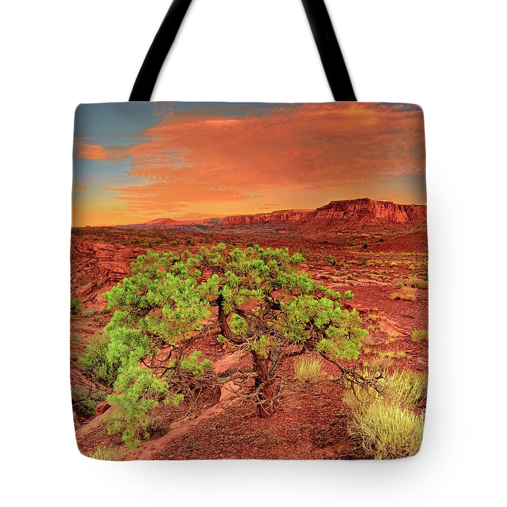 North America Tote Bag featuring the photograph Dawn Light Capitol Reef National Park Utah by Dave Welling