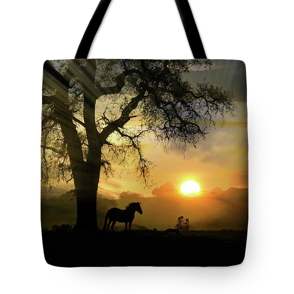 Morning Tote Bag featuring the photograph Dawn by Stephanie Laird