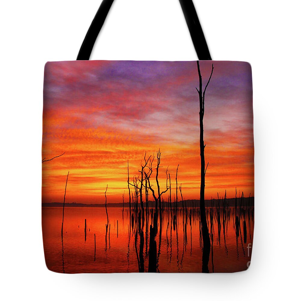 Dawn Tote Bag featuring the photograph Dawns Approach by Roger Becker