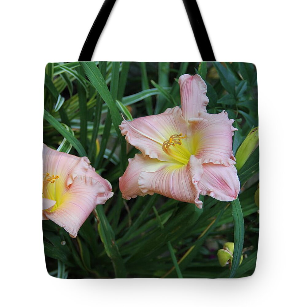 Flower Tote Bag featuring the photograph Daylilies by Allen Nice-Webb
