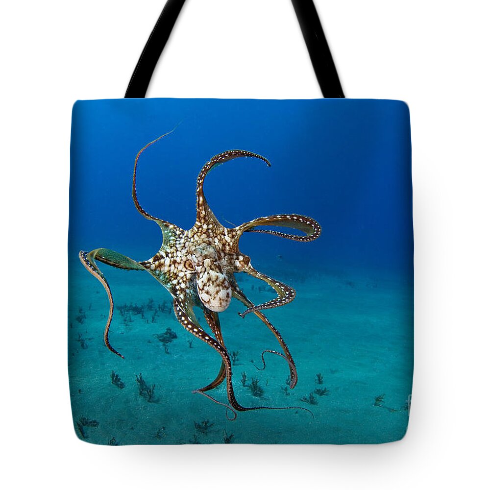 Animal Art Tote Bag featuring the photograph Day Octopus by Dave Fleetham - Printscapes