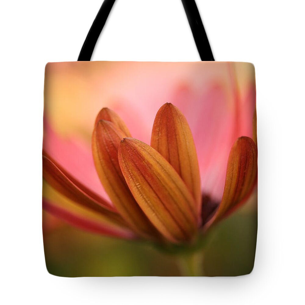 Connie Handscomb Tote Bag featuring the photograph Daybreak by Connie Handscomb