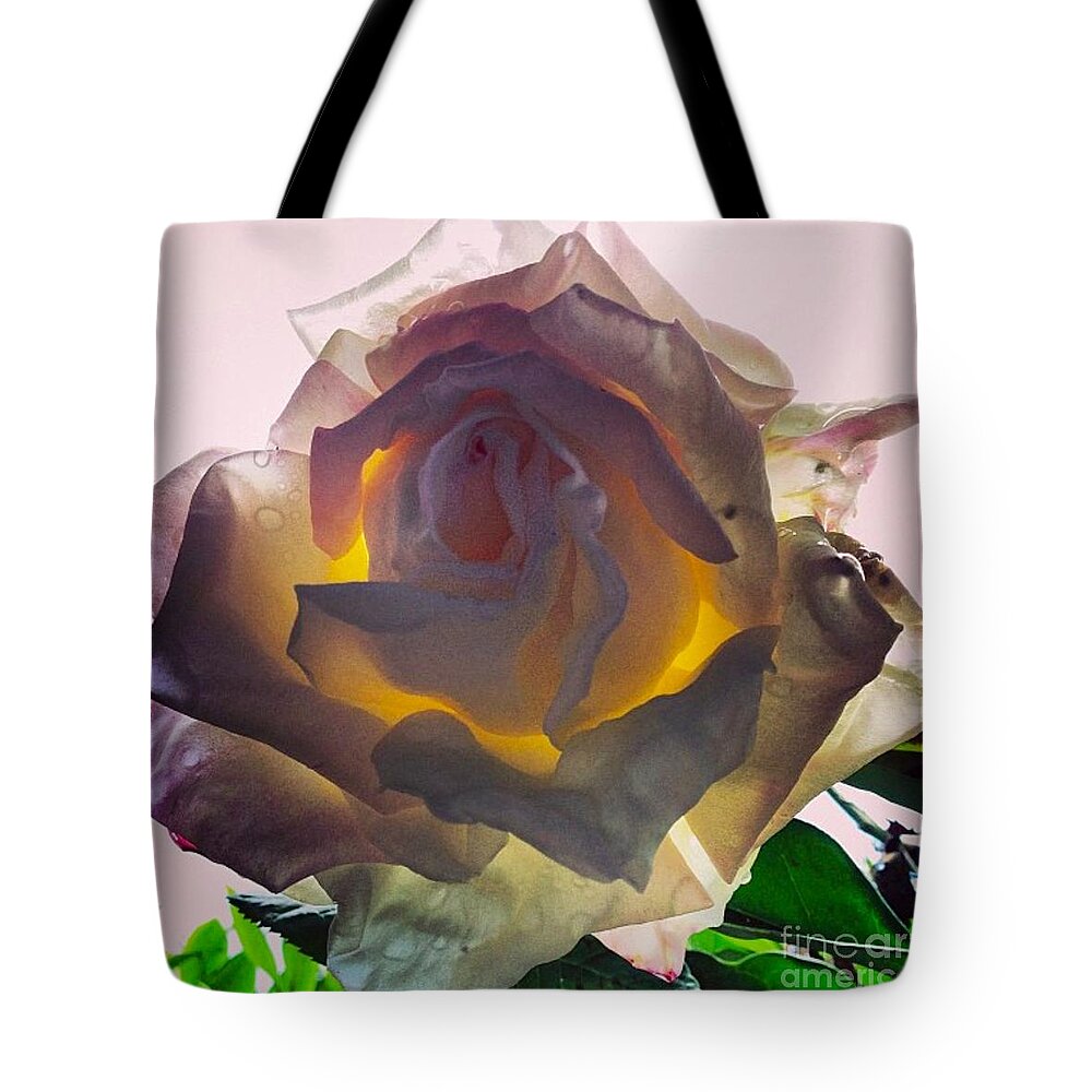 Rose Tote Bag featuring the photograph Daybreak by Denise Railey