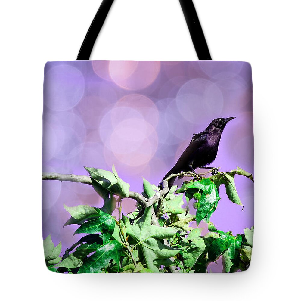 Bird Tote Bag featuring the photograph Daydreaming by Alison Frank
