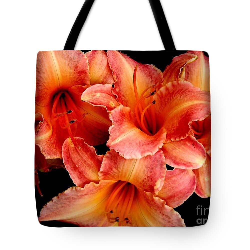 Daylily Tote Bag featuring the photograph Daylilies 1 by Rose Santuci-Sofranko