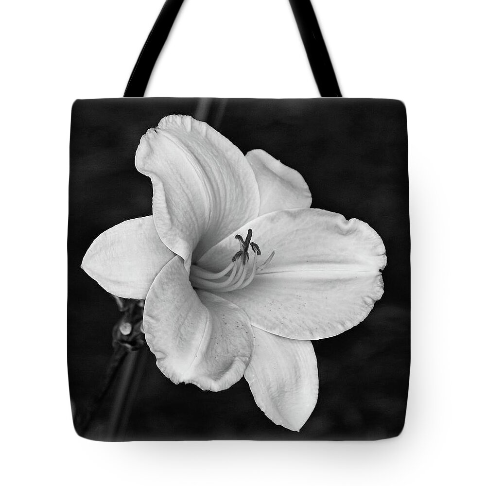 Daylily Tote Bag featuring the photograph Daylily by Sandy Keeton