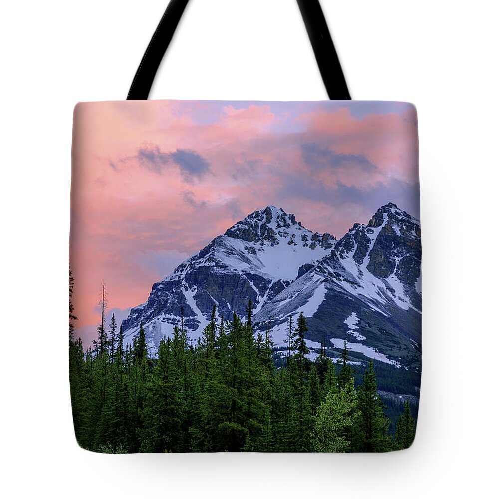 Nature Tote Bag featuring the photograph Day's End by Chad Dutson