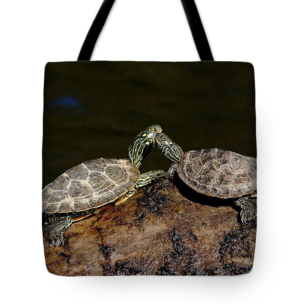 Turtles Tote Bag featuring the photograph Dazzle Me by Debbie Oppermann