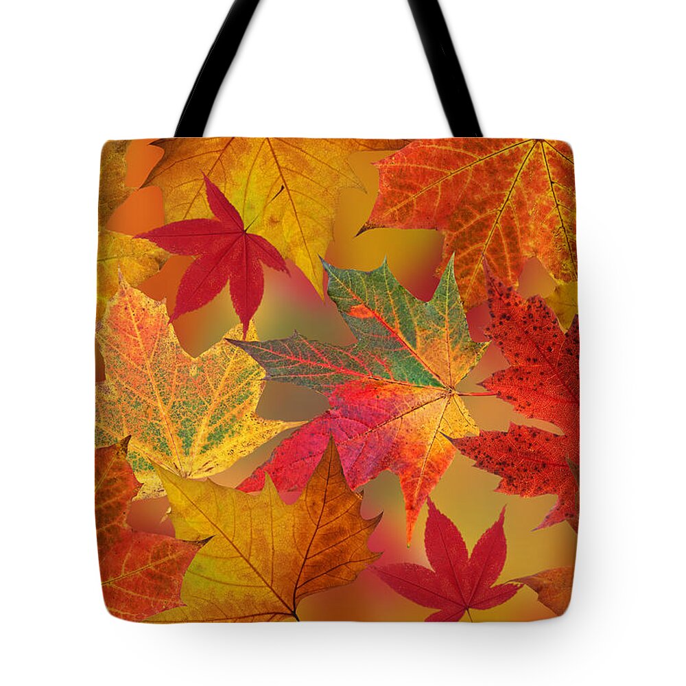Autumn Leaves Tote Bag featuring the photograph Dazzling Autumn Leaves by Gill Billington