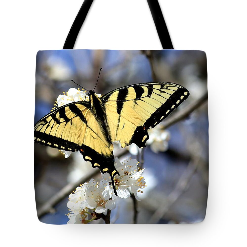 Nature Tote Bag featuring the photograph De-tailed Swallowtail by Sheila Brown