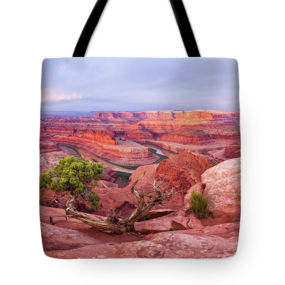 American Tote Bag featuring the photograph Dead Horse Point Panorama by Alex Mironyuk