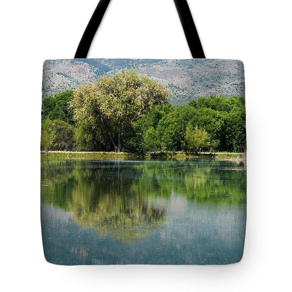 Panoramic Tote Bag featuring the photograph Dead Horse Ranch State Park by Tam Ryan