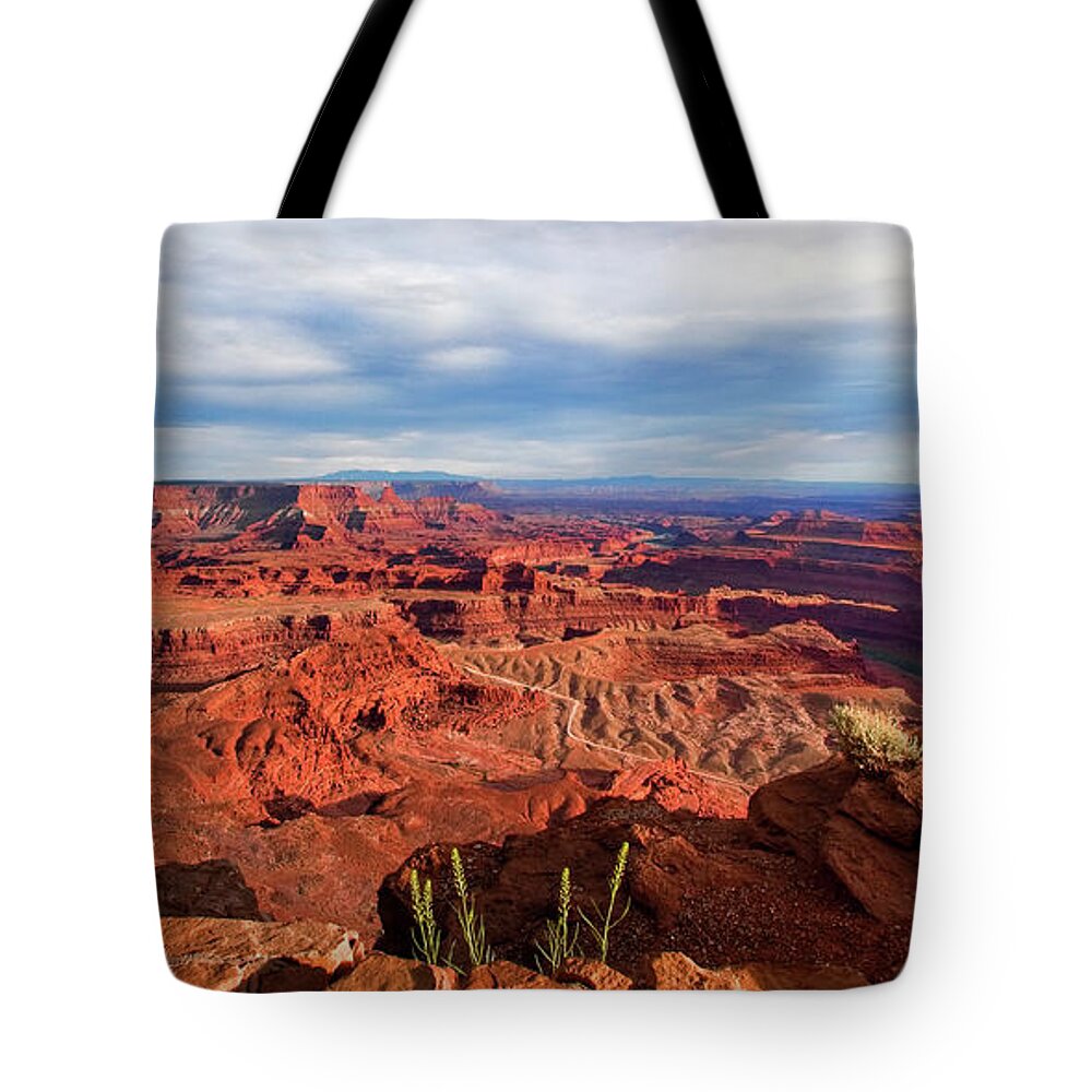 Utah Tote Bag featuring the photograph Dead Horse State Park Utah by Tim Kathka