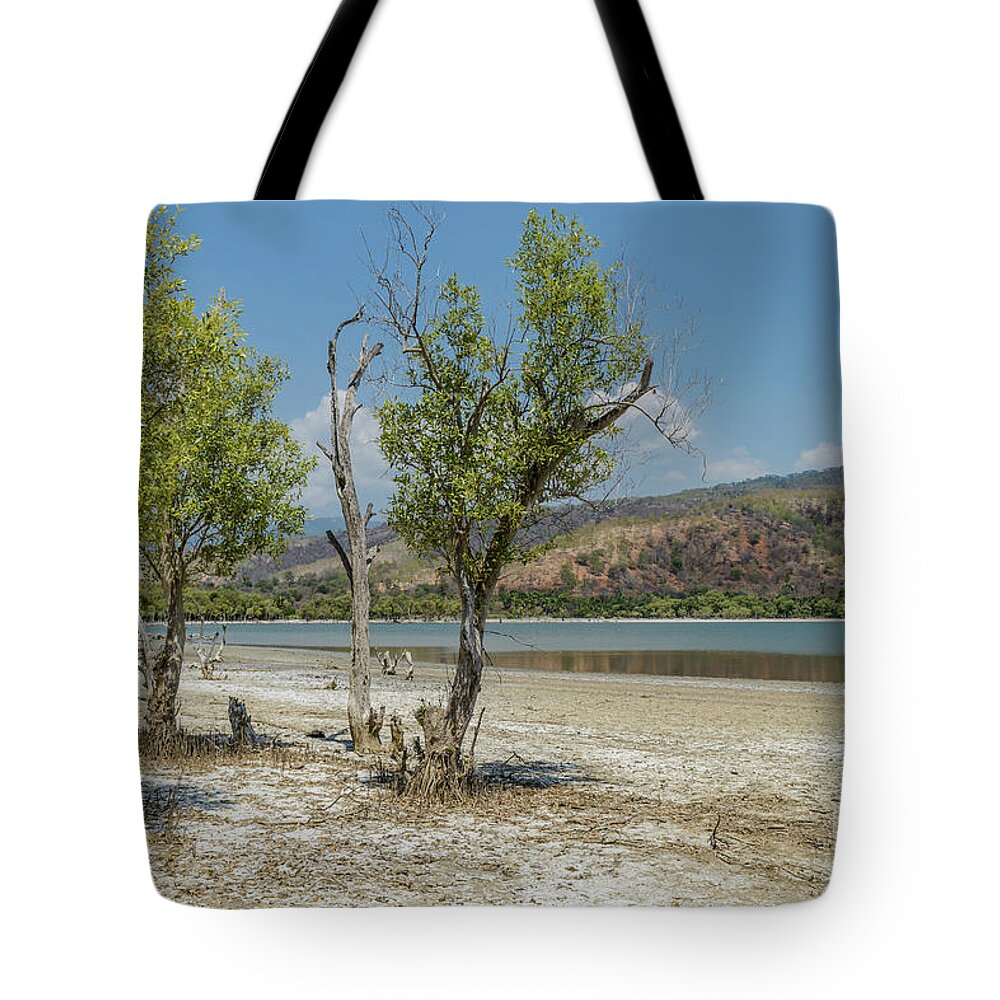 Landscape Tote Bag featuring the photograph Dead Lake 1 by Werner Padarin