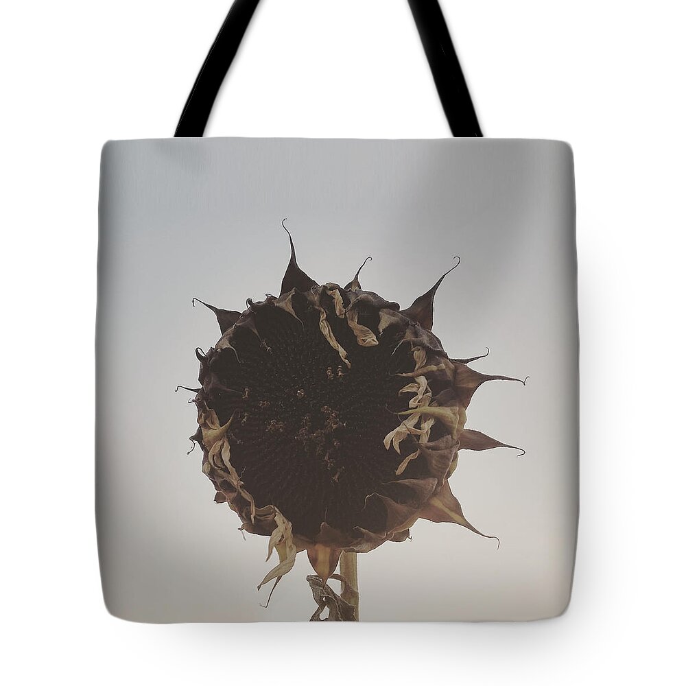 Withered Tote Bag featuring the photograph Dead Sunflower by Miguel Angel