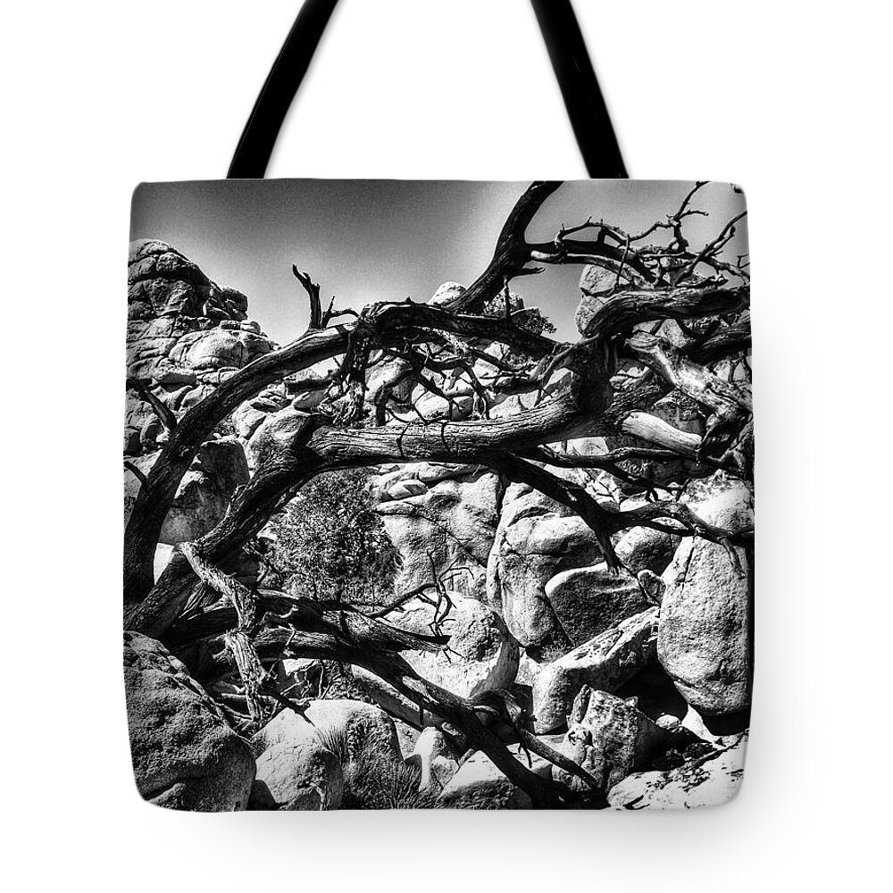 Joshua Tree Tote Bag featuring the photograph Dead Tree at Hemingway 1 - BW by Kyle Mcdonough
