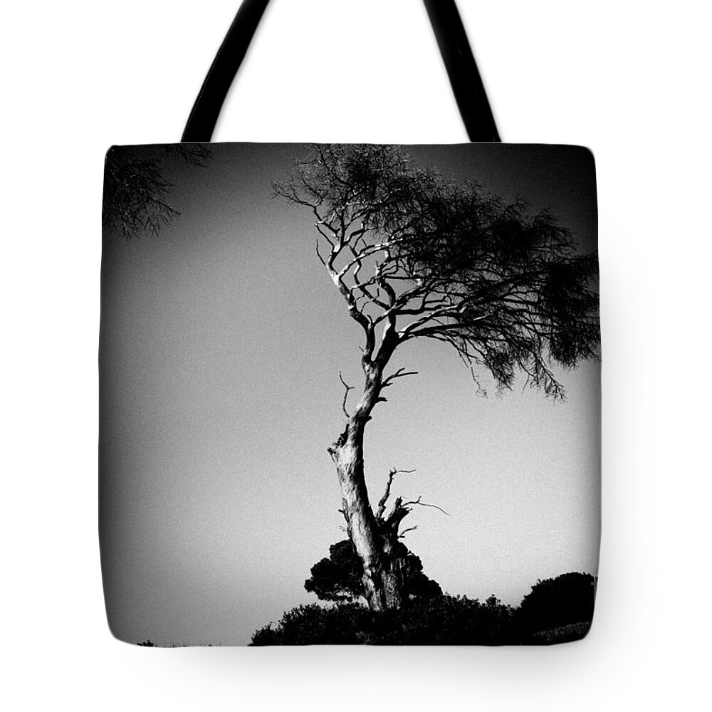 Water Tote Bag featuring the photograph Dead tree bw by Raimond Klavins
