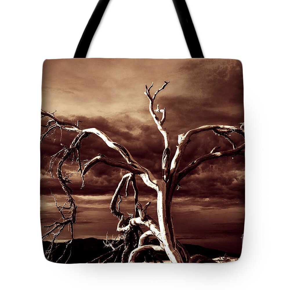 Death Valley Tote Bag featuring the photograph Dead tree in Death Valley 11 by Micah May