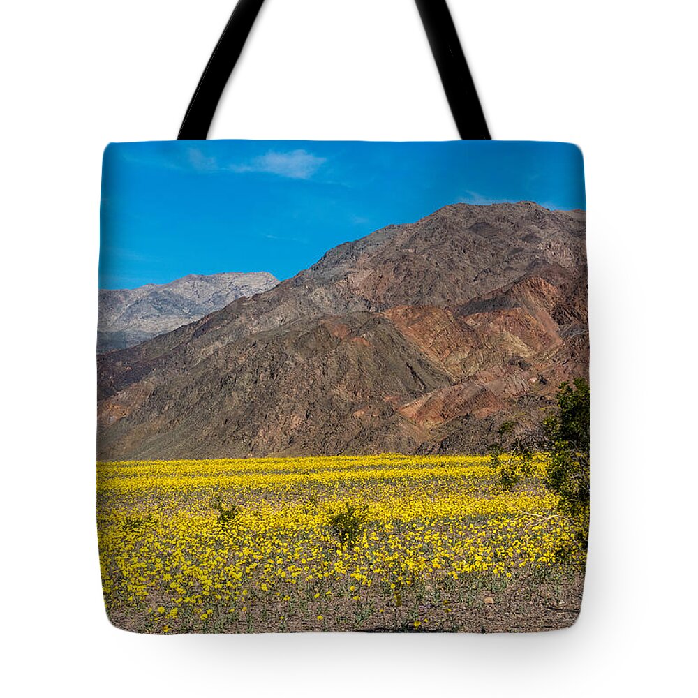 National Park Tote Bag featuring the photograph Death Valley Super Bloom by Paul Freidlund