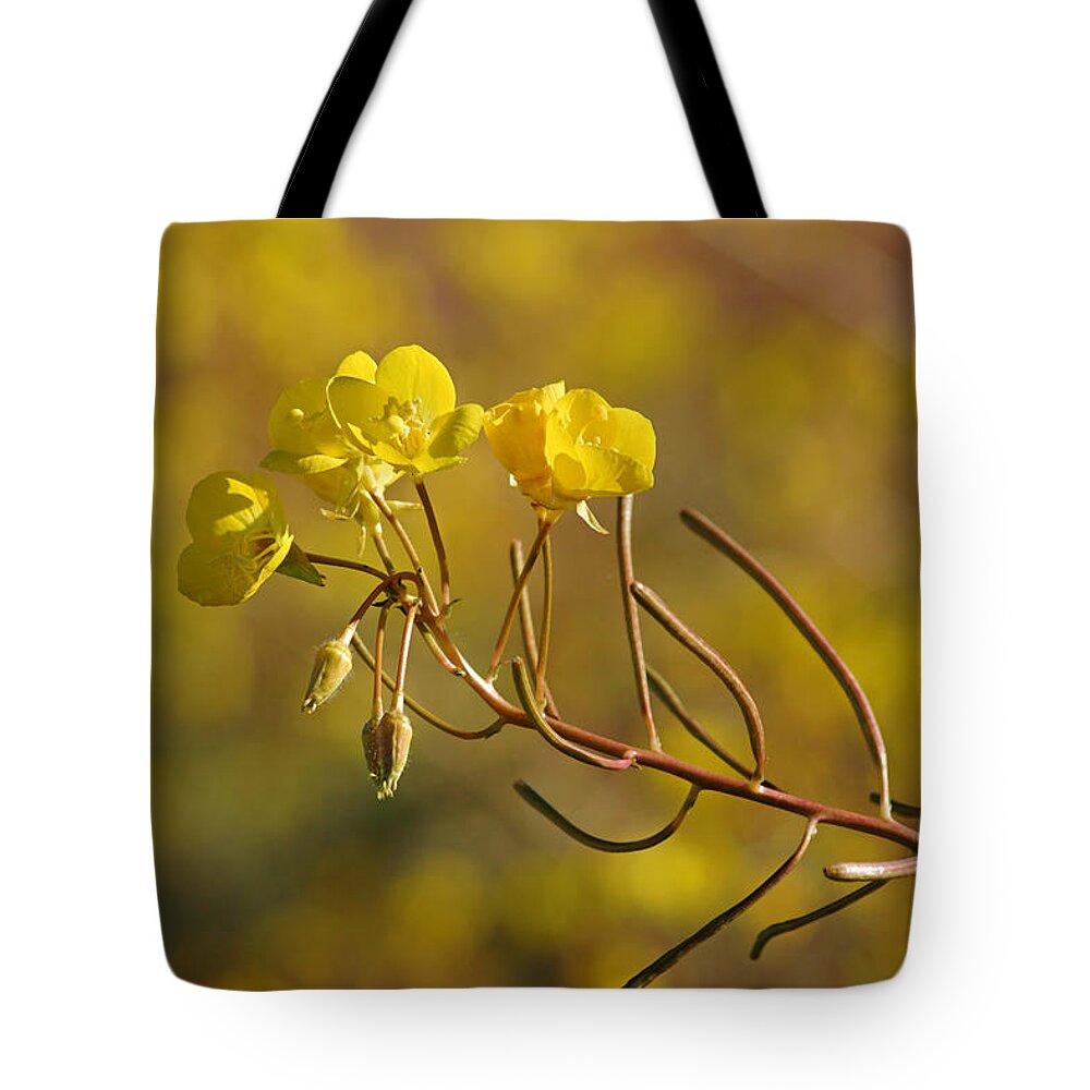 Superbloom 2016 Tote Bag featuring the photograph Death Valley Superbloom 301 by Daniel Woodrum