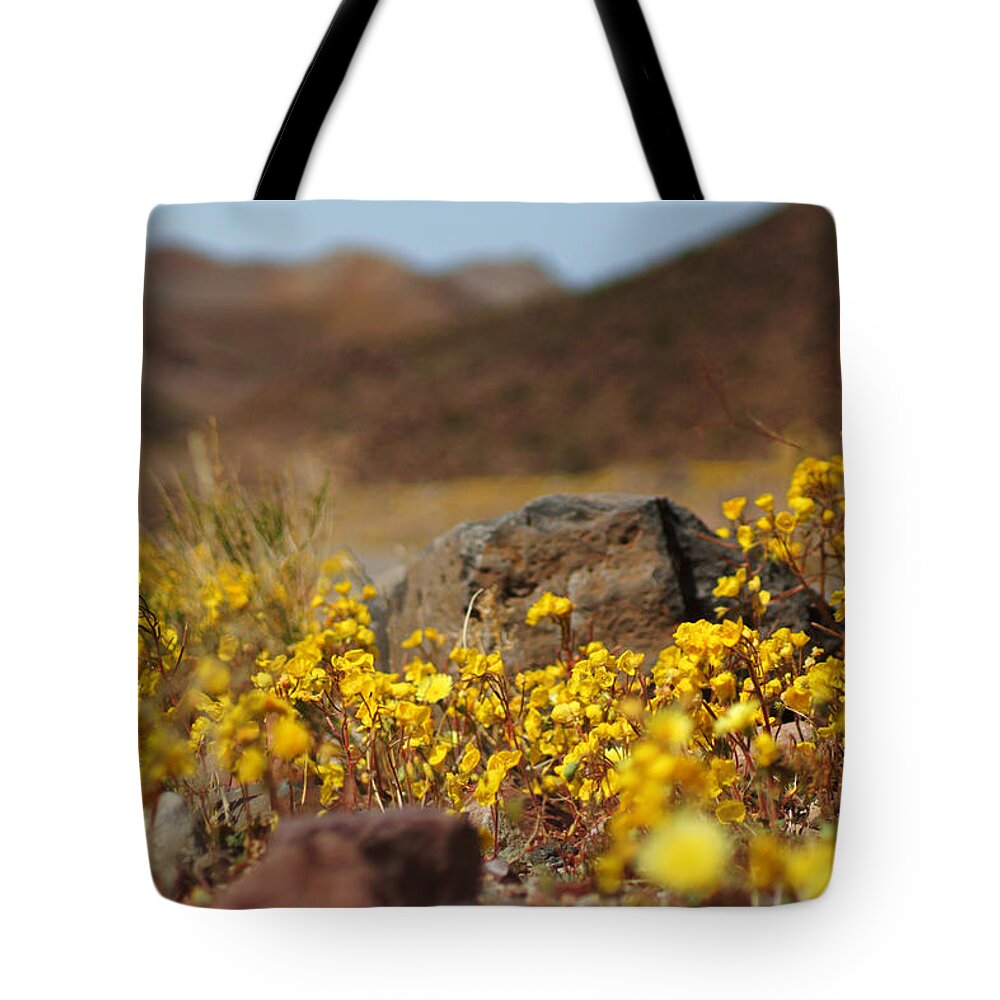 Superbloom 2016 Tote Bag featuring the photograph Death Valley Superbloom 408 by Daniel Woodrum