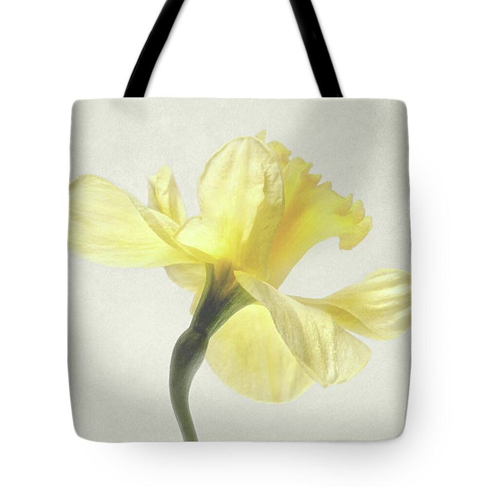 Daffodil Tote Bag featuring the photograph Decadent Daffodil by Kathi Mirto