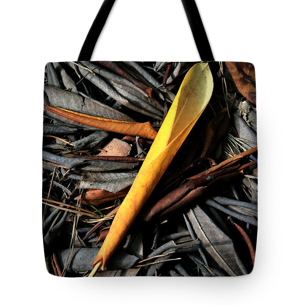 Decay Tote Bag featuring the digital art Decay by Julian Perry
