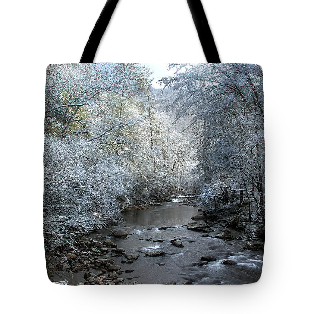 Winter Scene Tote Bag featuring the photograph December by Mike Eingle