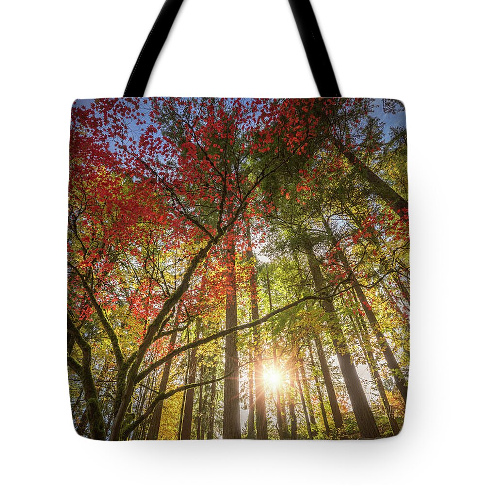 Oregon Tote Bag featuring the photograph Decorated by Japanese maple by William Lee