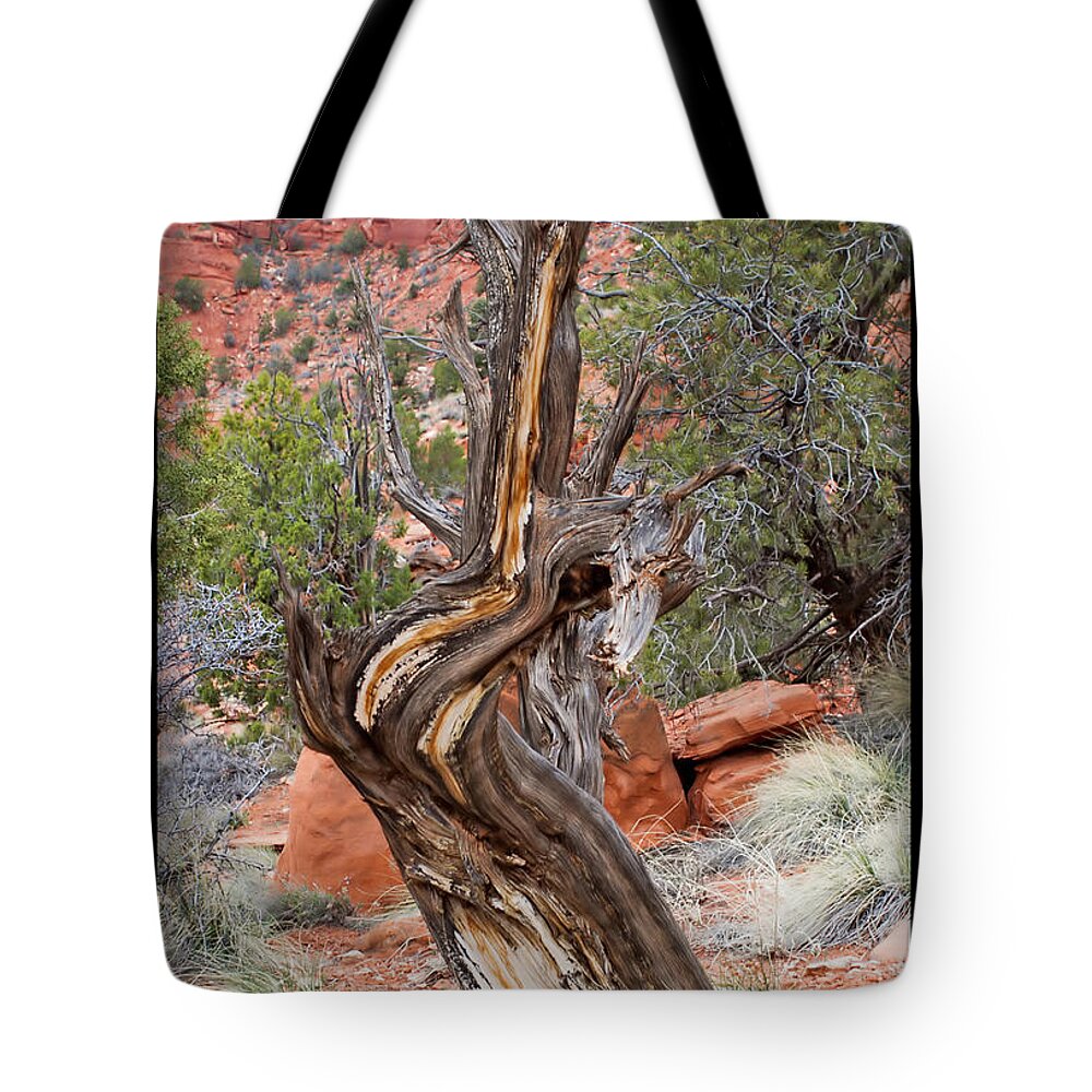 Tree Tote Bag featuring the photograph Decorative Dead Tree by Farol Tomson