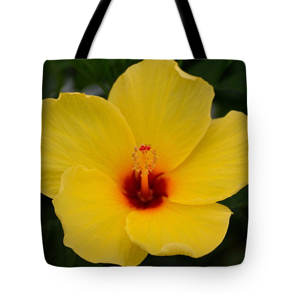 Botanical Tote Bag featuring the painting Decorative Floral Photo A9416 by Mas Art Studio