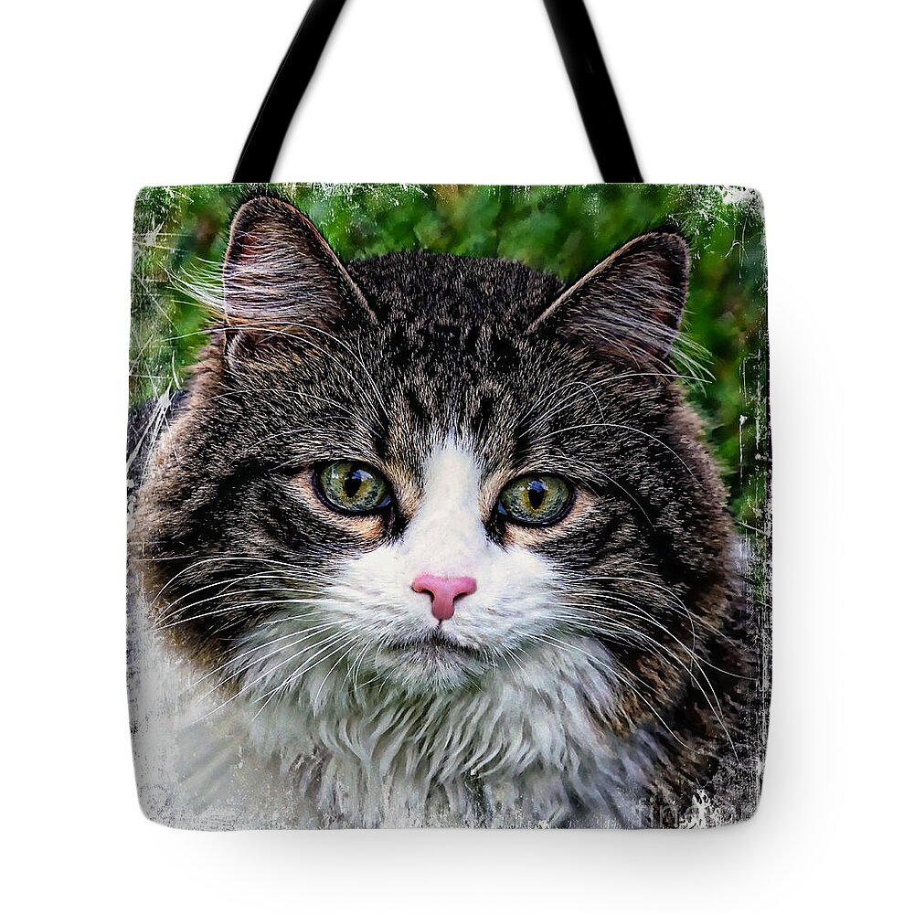 Acrylic Tote Bag featuring the mixed media Decorative Maine Coon Cat A4122016 by Mas Art Studio
