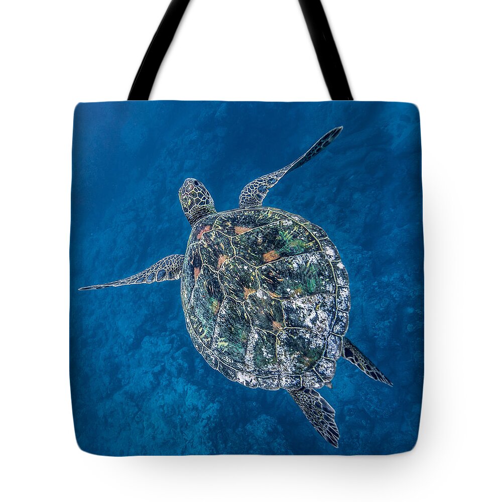 Hawaiian Sea Turtle Tote Bag featuring the photograph Deep Blue Square by Leonardo Dale
