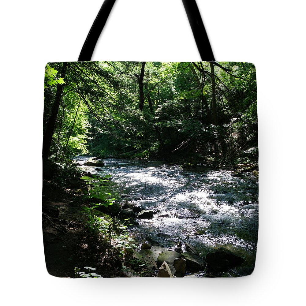 Nature Tote Bag featuring the photograph Deep in the Gorge by Peggy King