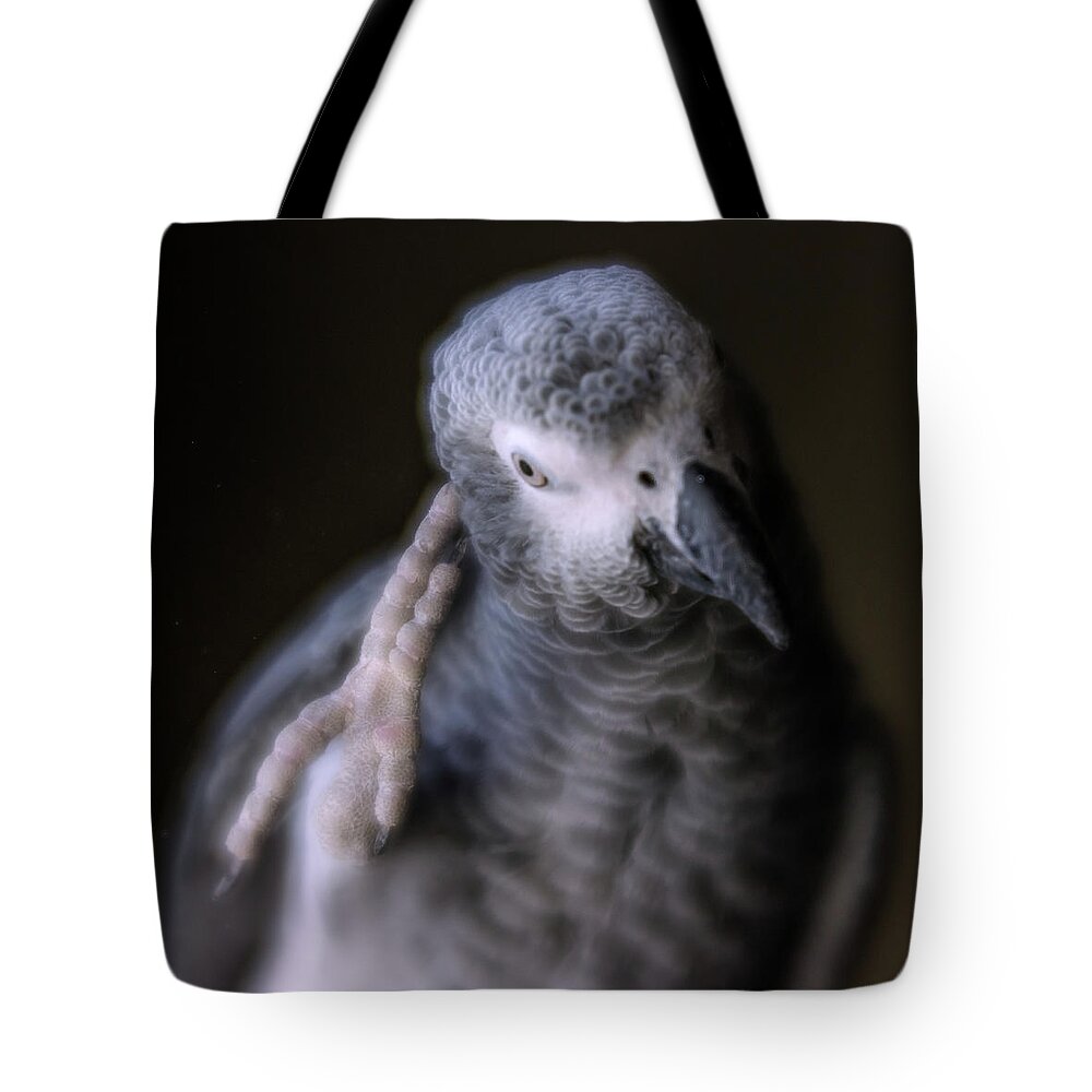 African Grey Tote Bag featuring the photograph Deep Thinker by Jennifer Grossnickle