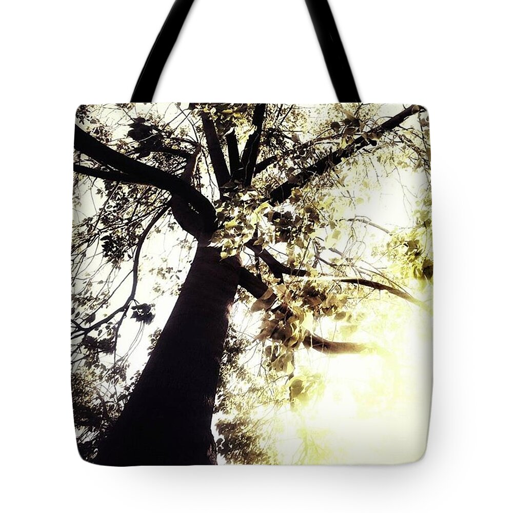 Inspire Tote Bag featuring the photograph Deep by Jorge Ferreira