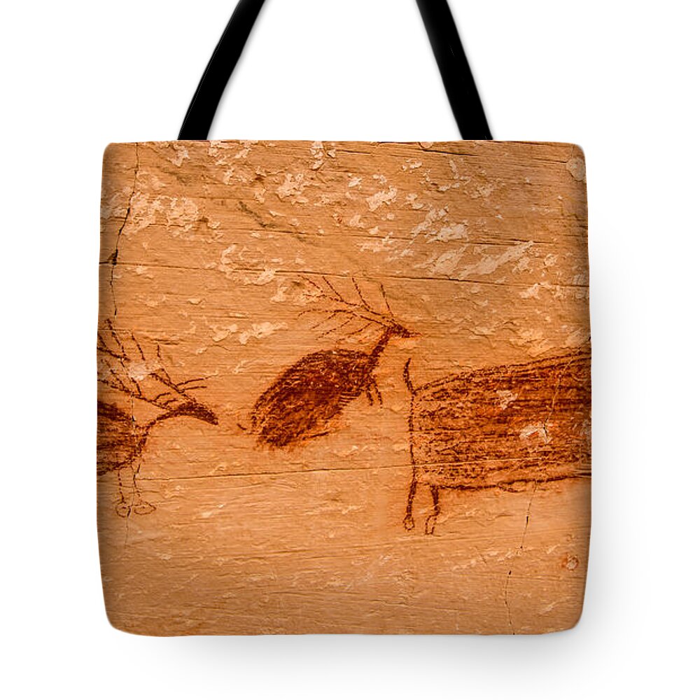 Utah Tote Bag featuring the photograph Deer and Bison Pictograph - Horseshoe Canyon - Utah by Gary Whitton