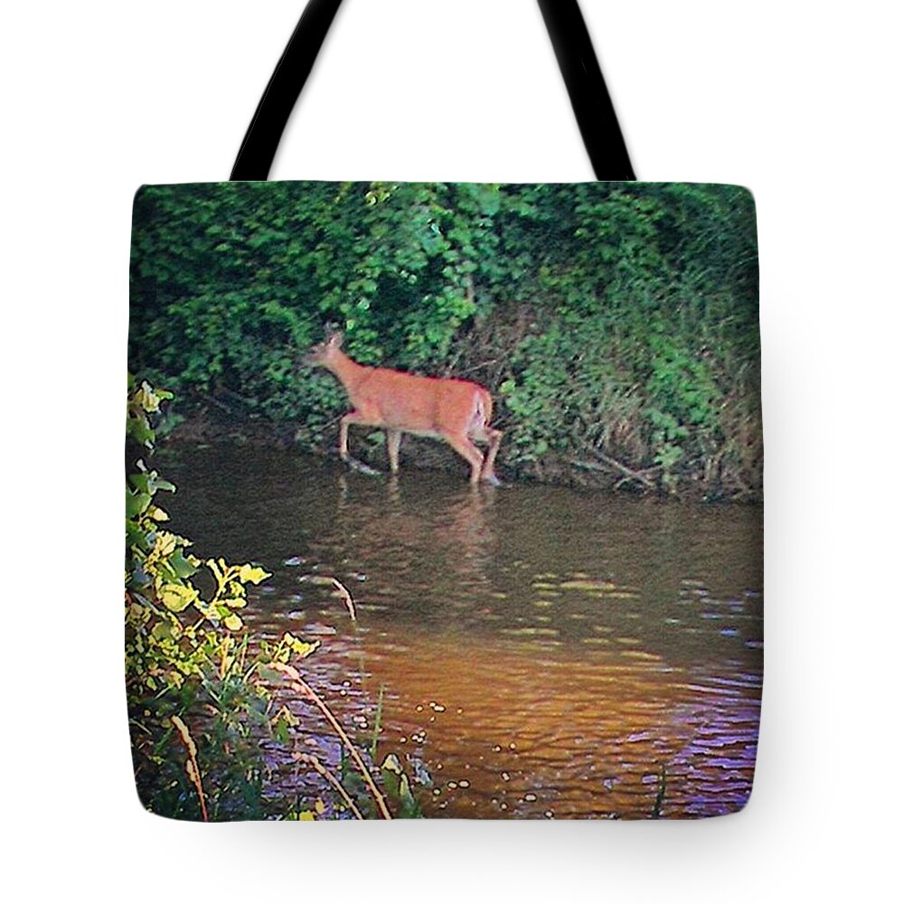  Tote Bag featuring the photograph Deer Cooling Off In The Creek by Robert Carey