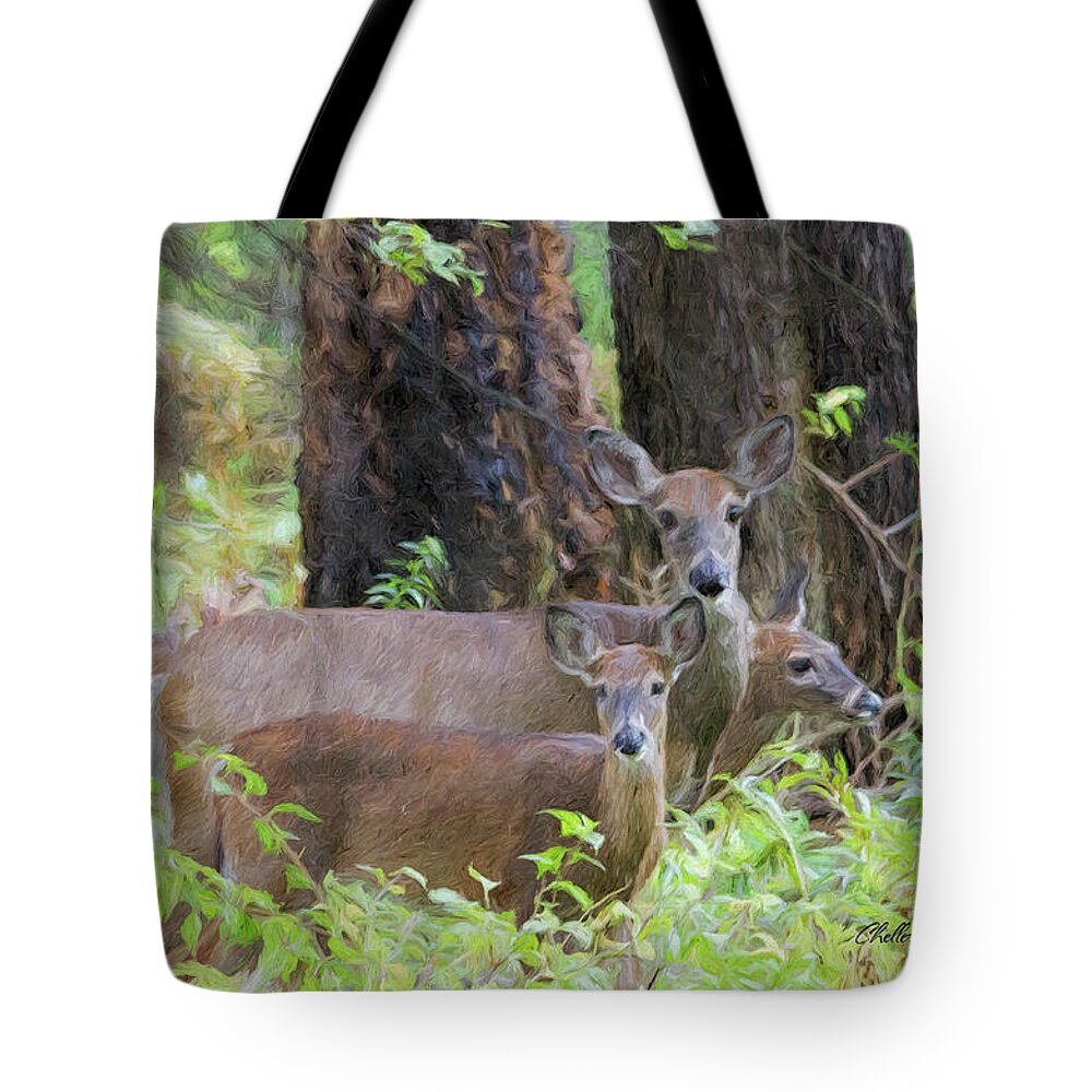 Deer Tote Bag featuring the photograph Deer Family by ChelleAnne Paradis