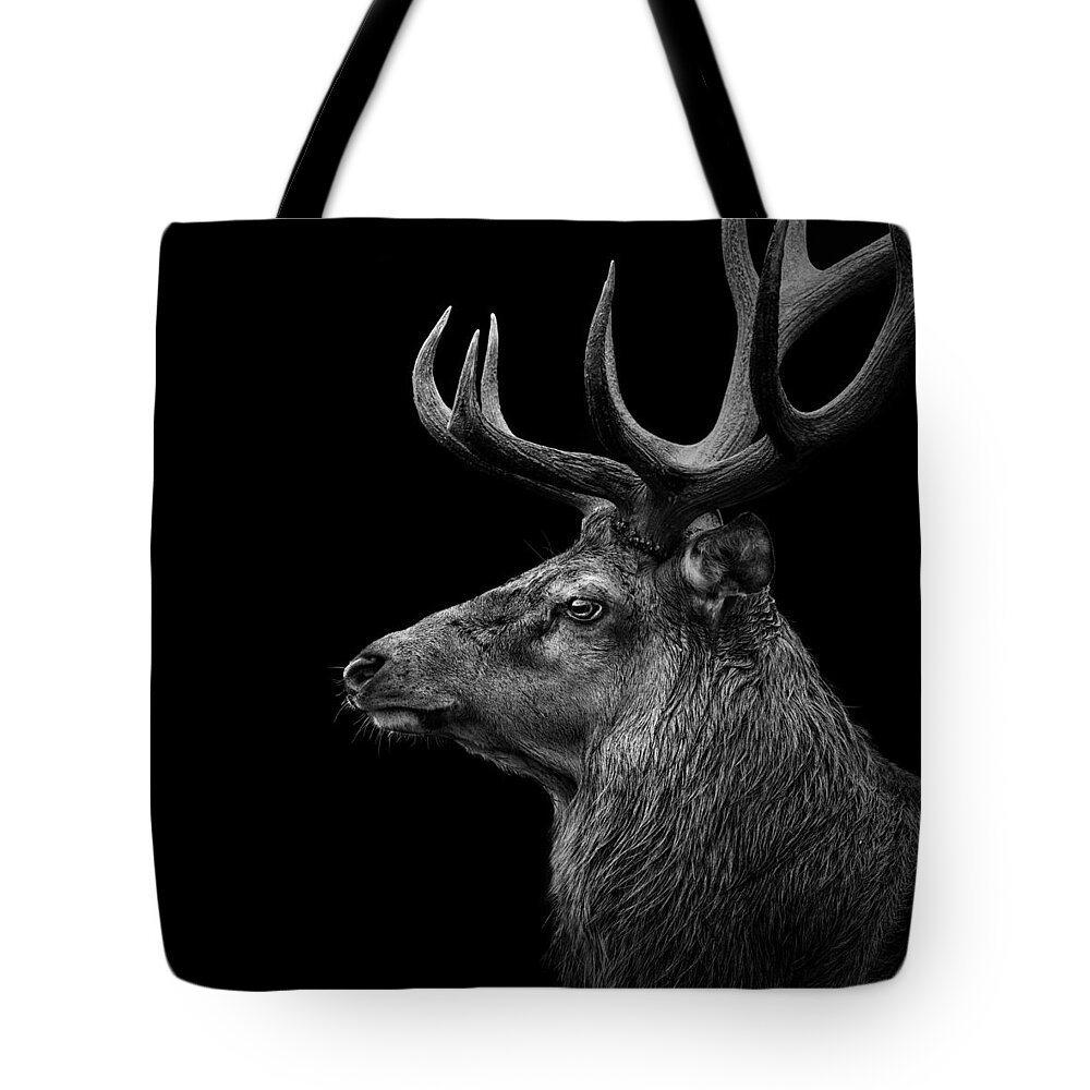 Deer Tote Bag featuring the photograph Deer In Black And White by Lukas Holas