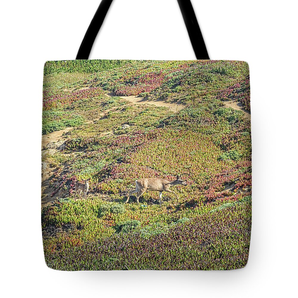 Animals Tote Bag featuring the photograph Deer by Jim Thompson