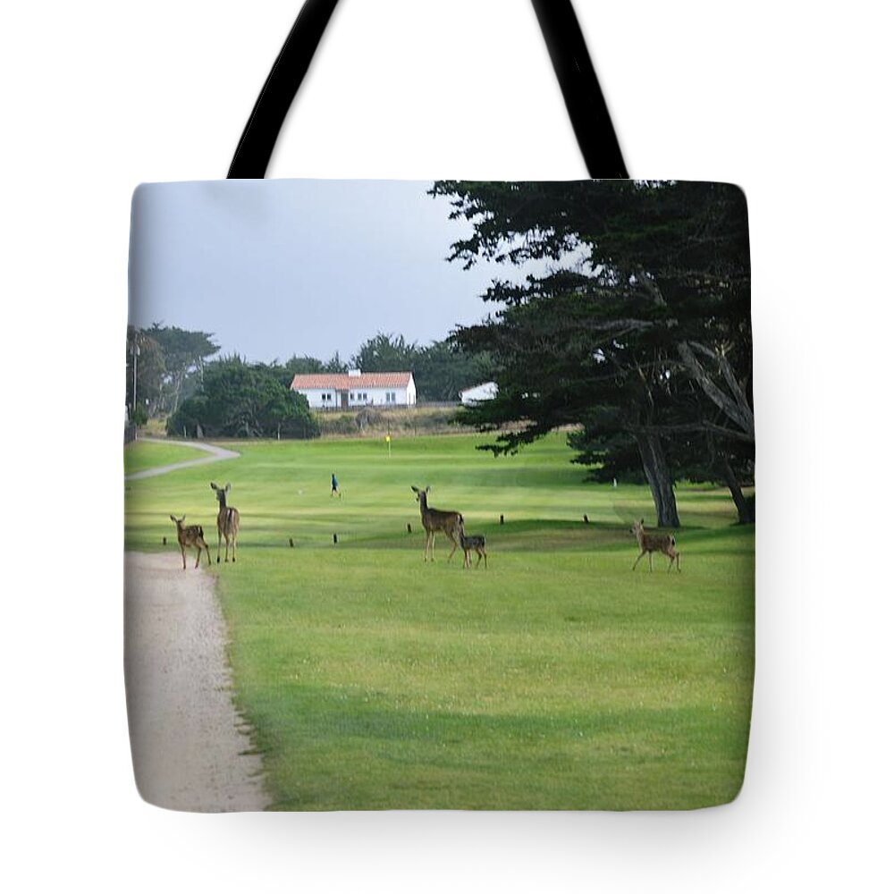 Landsape Tote Bag featuring the photograph Deer On The Run by Marian Jenkins
